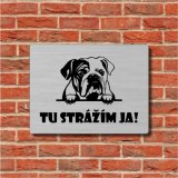 Schild Vorsicht Hund Englische Bulldogge
