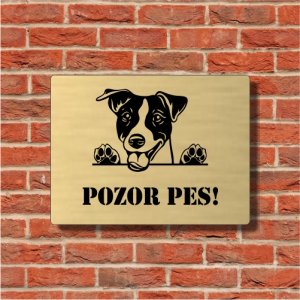 Warnschild Vorsicht Hund Jack Russell Terrier 2