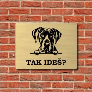 Warnschild Vorsicht Hund Deutsche Dogge 2