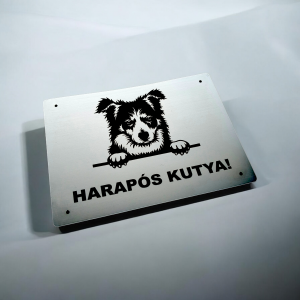 Schild Vorsicht Hund Border Collie